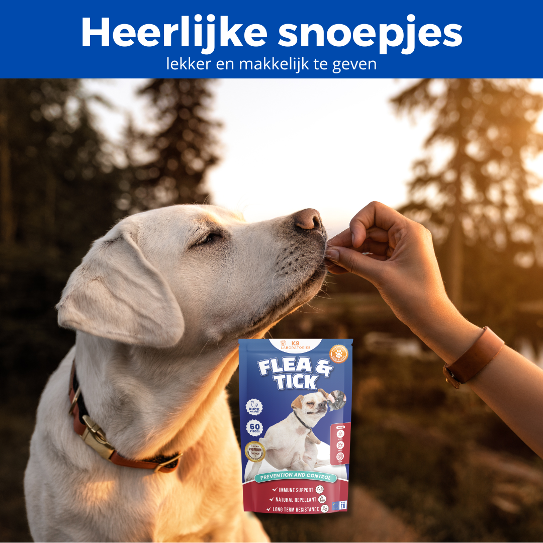 Vlo & Teek Chews 60 stuks