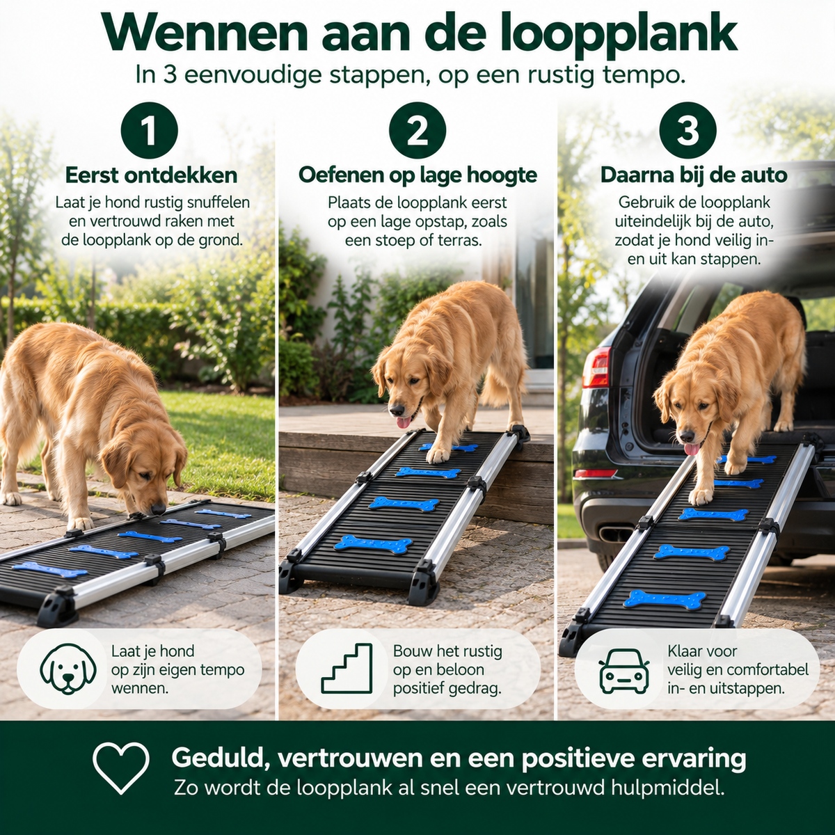 Telescopische Loopplank voor Honden