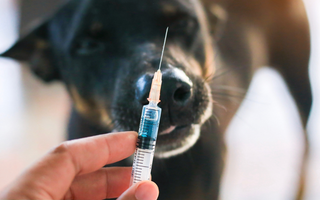 Trosradar Waarschuwt Voor Gevaarlijke Bijwerkingen Artrose medicatie