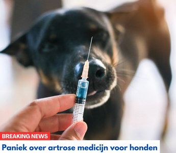 Trosradar Waarschuwt Voor Gevaarlijke Bijwerkingen Artrose medicatie