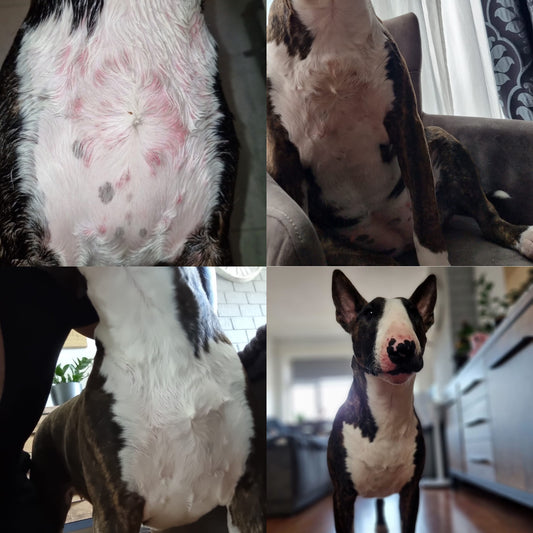 Extreme jeuk, krabben en wondjes (zomer 2023)