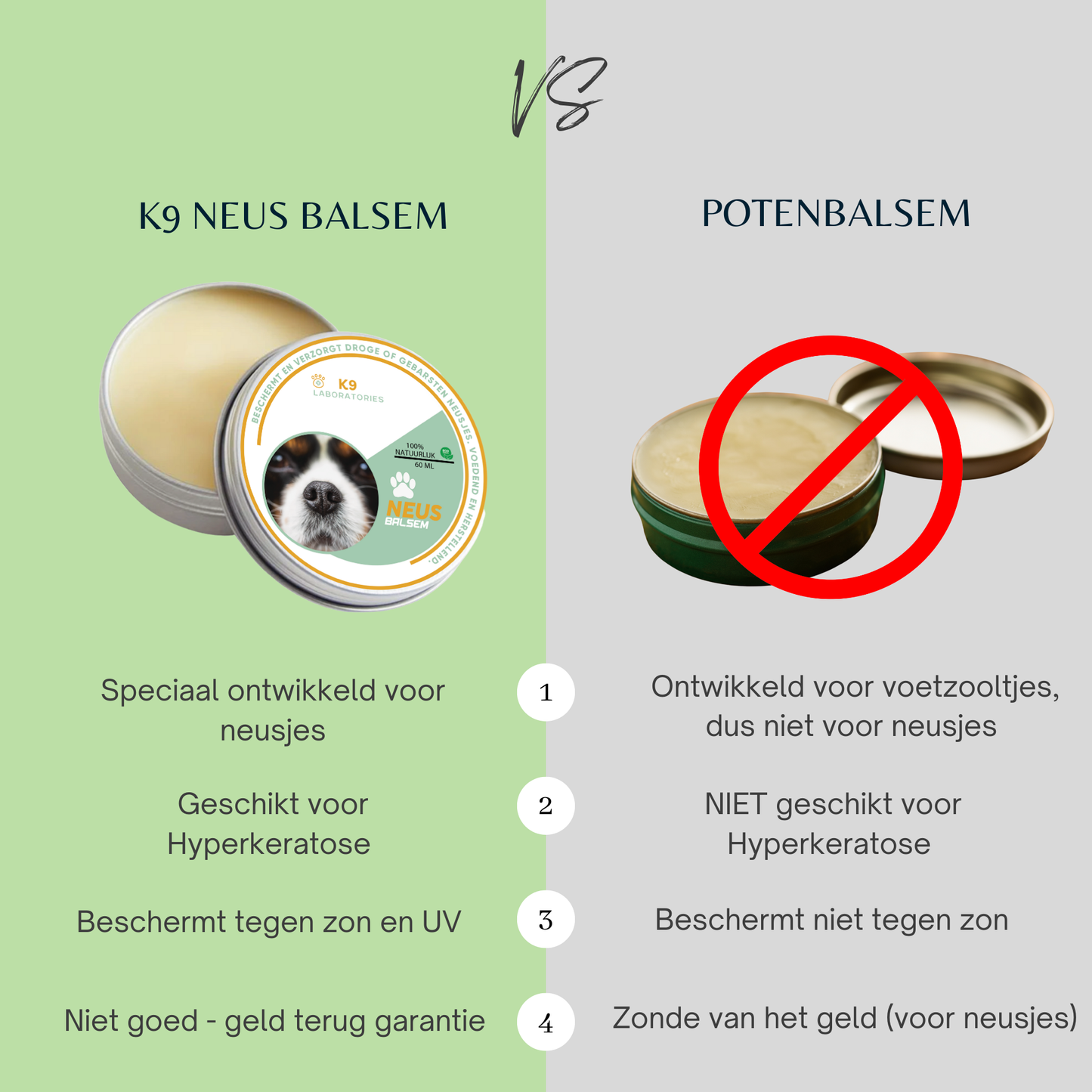 Neus Balsem