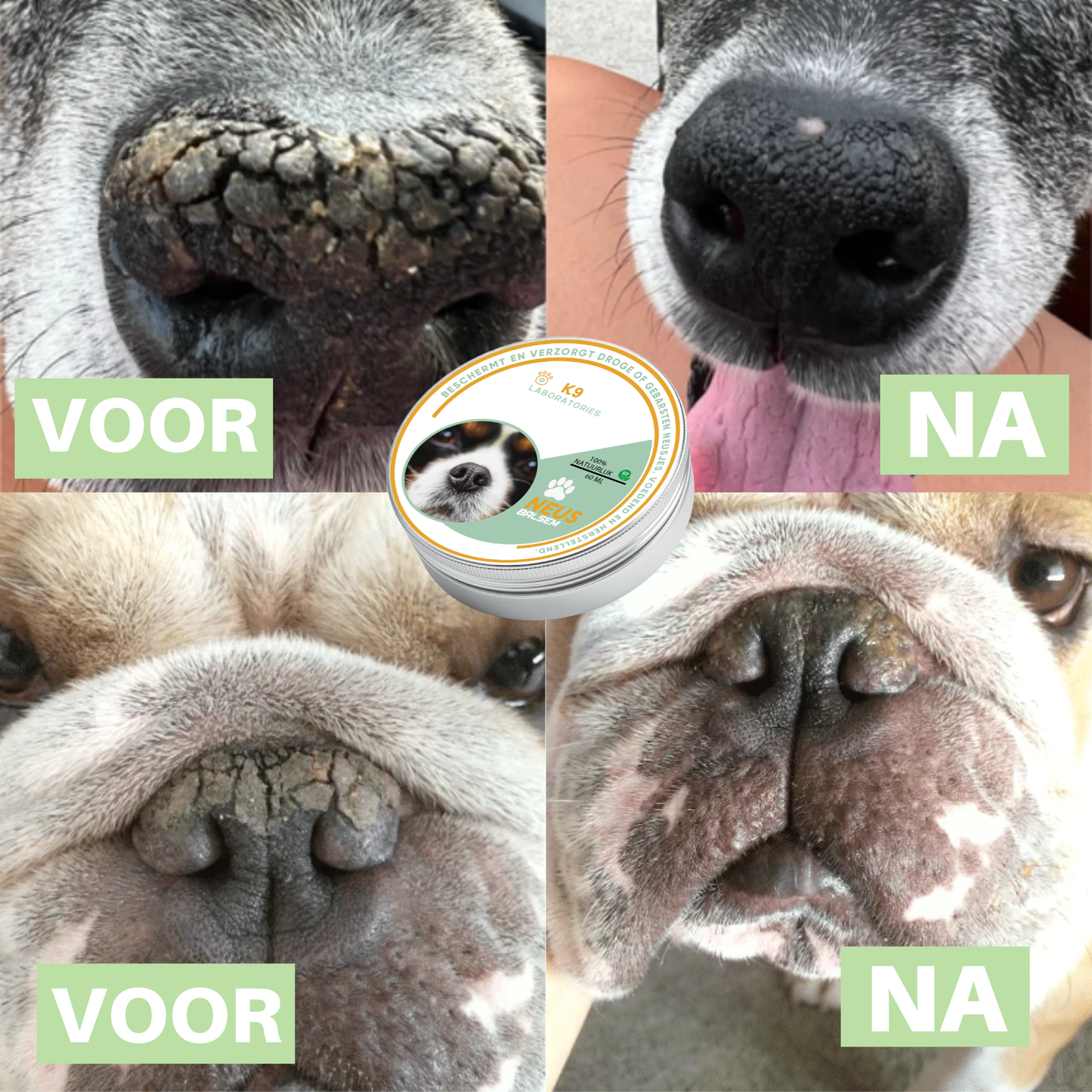 Neus Balsem