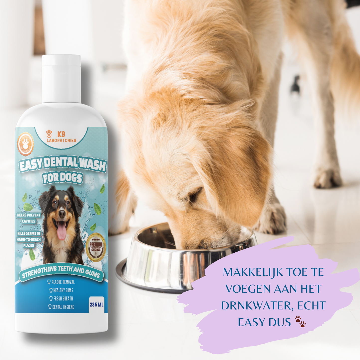 Easy Mondwater