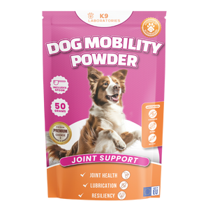 Dog Mobility