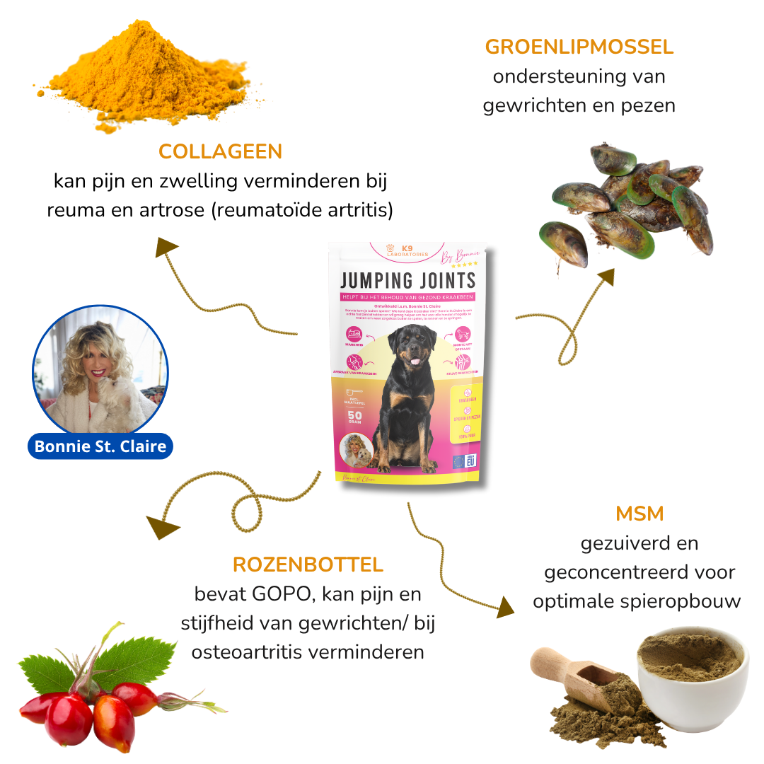 Jumping Joints by Bonnie