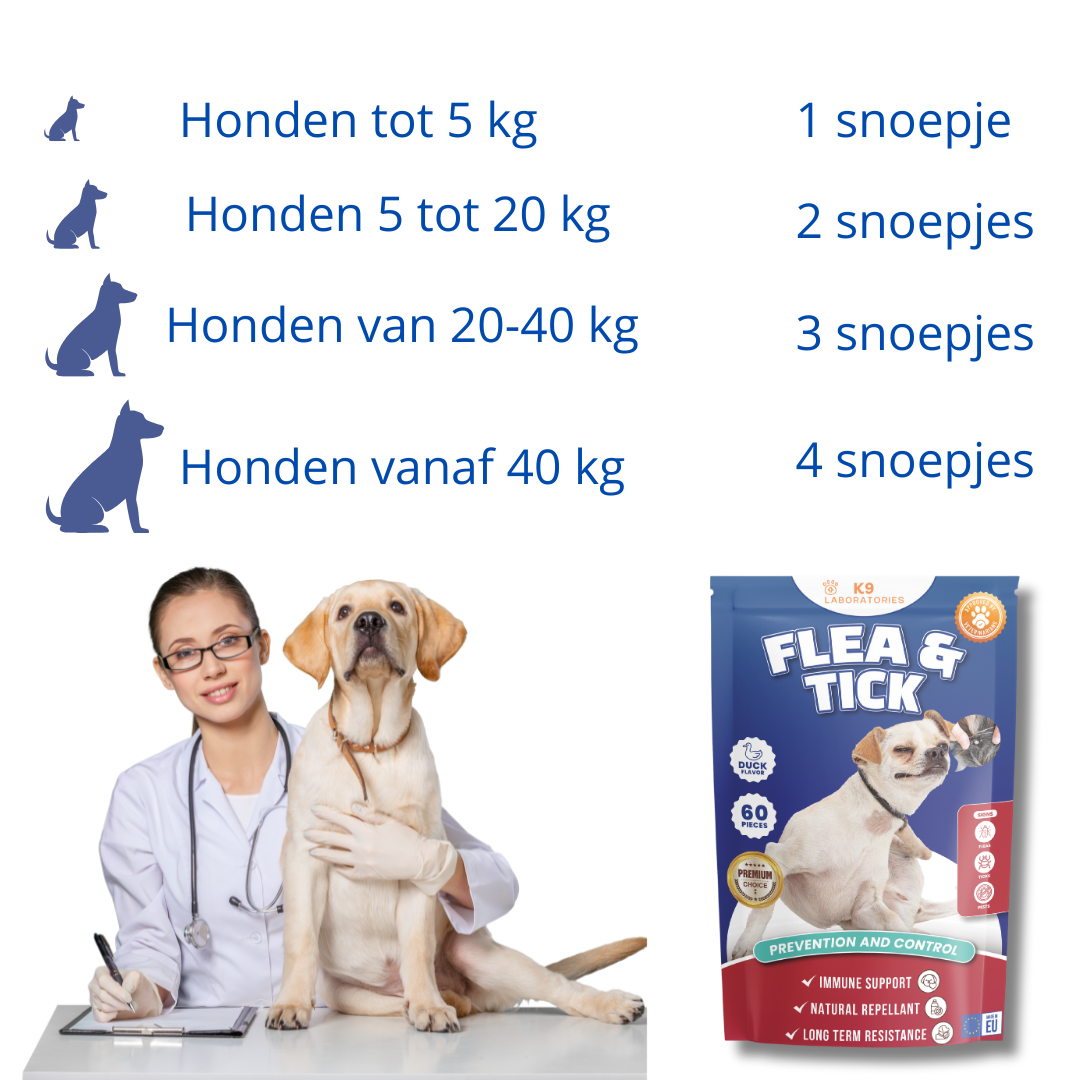 Vlo & Teek Chews 60 stuks