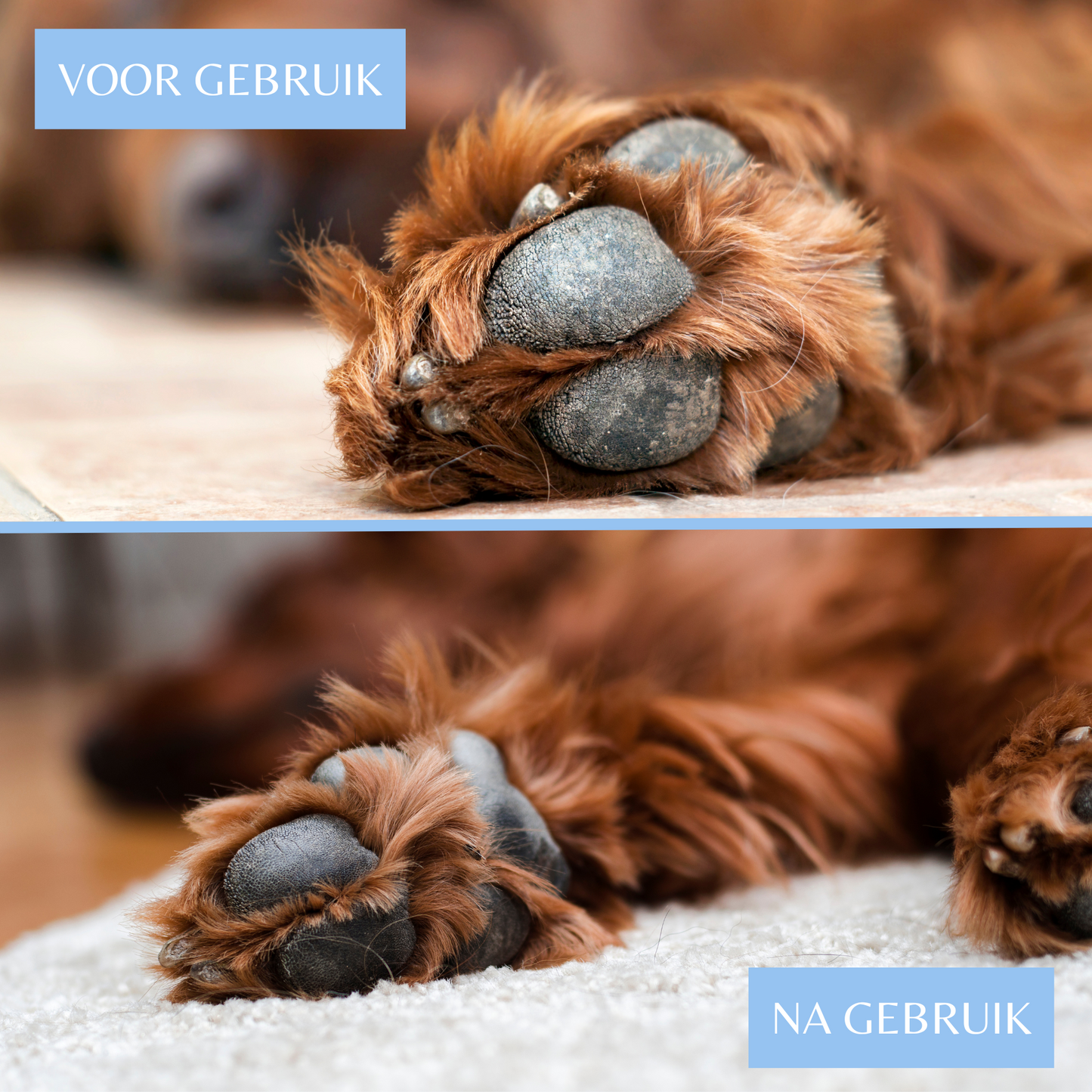 Potenbalsem Hond
