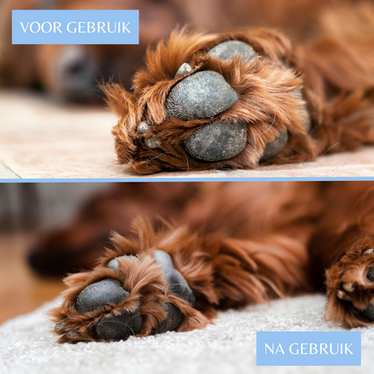 Potenbalsem Hond