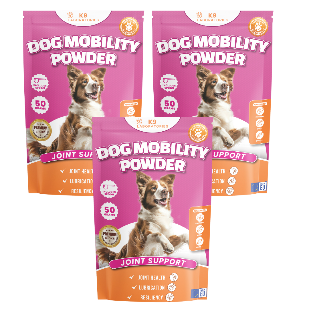 Dog Mobility set van 3