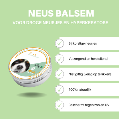 Neus Balsem