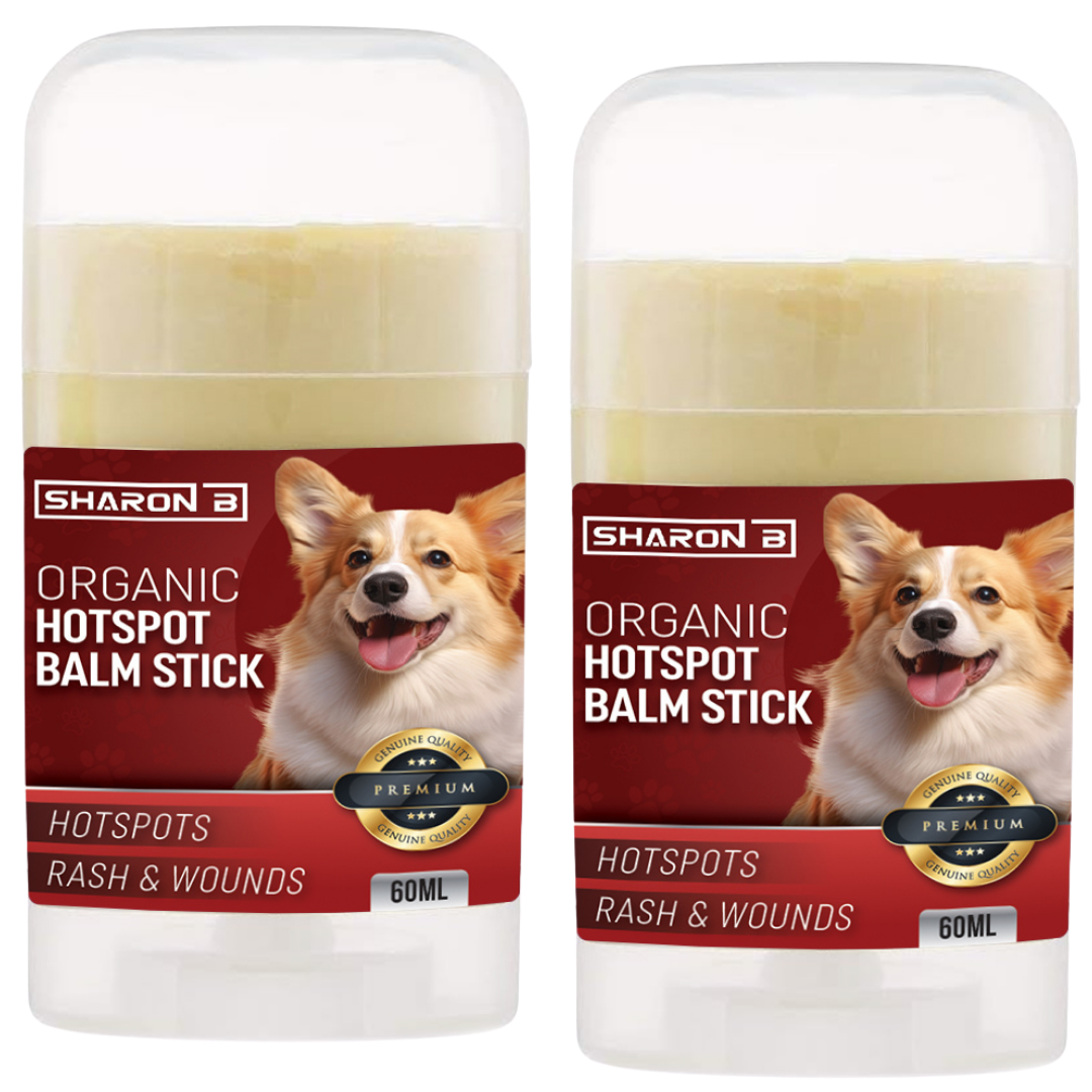 Hotspot Stick set van 2