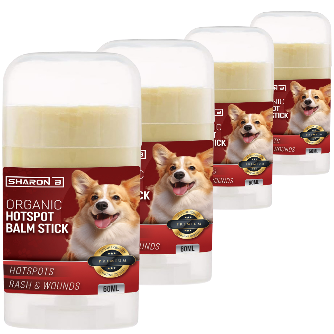 Hotspot Stick set van 4