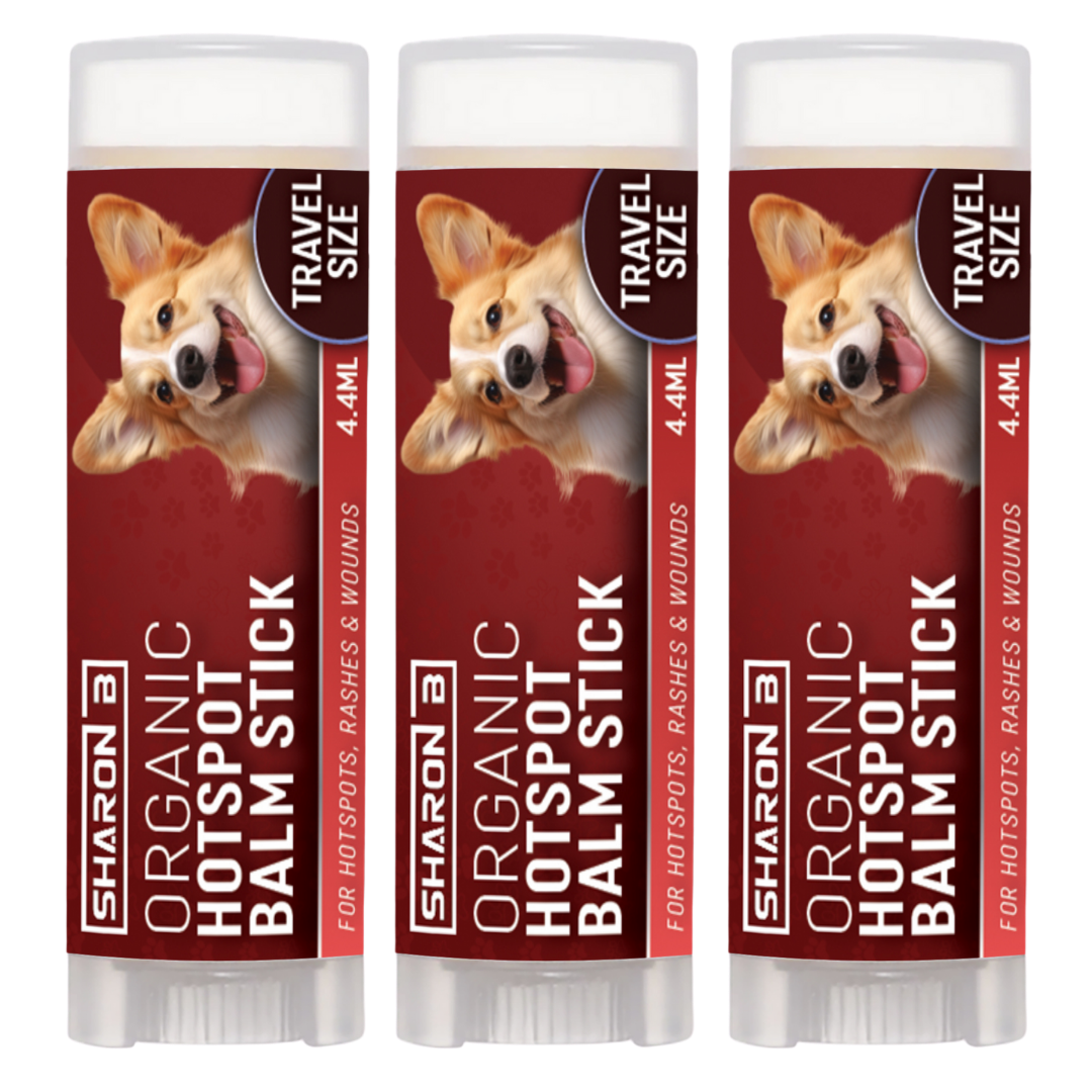 Hotspot Travel Stick set van 3