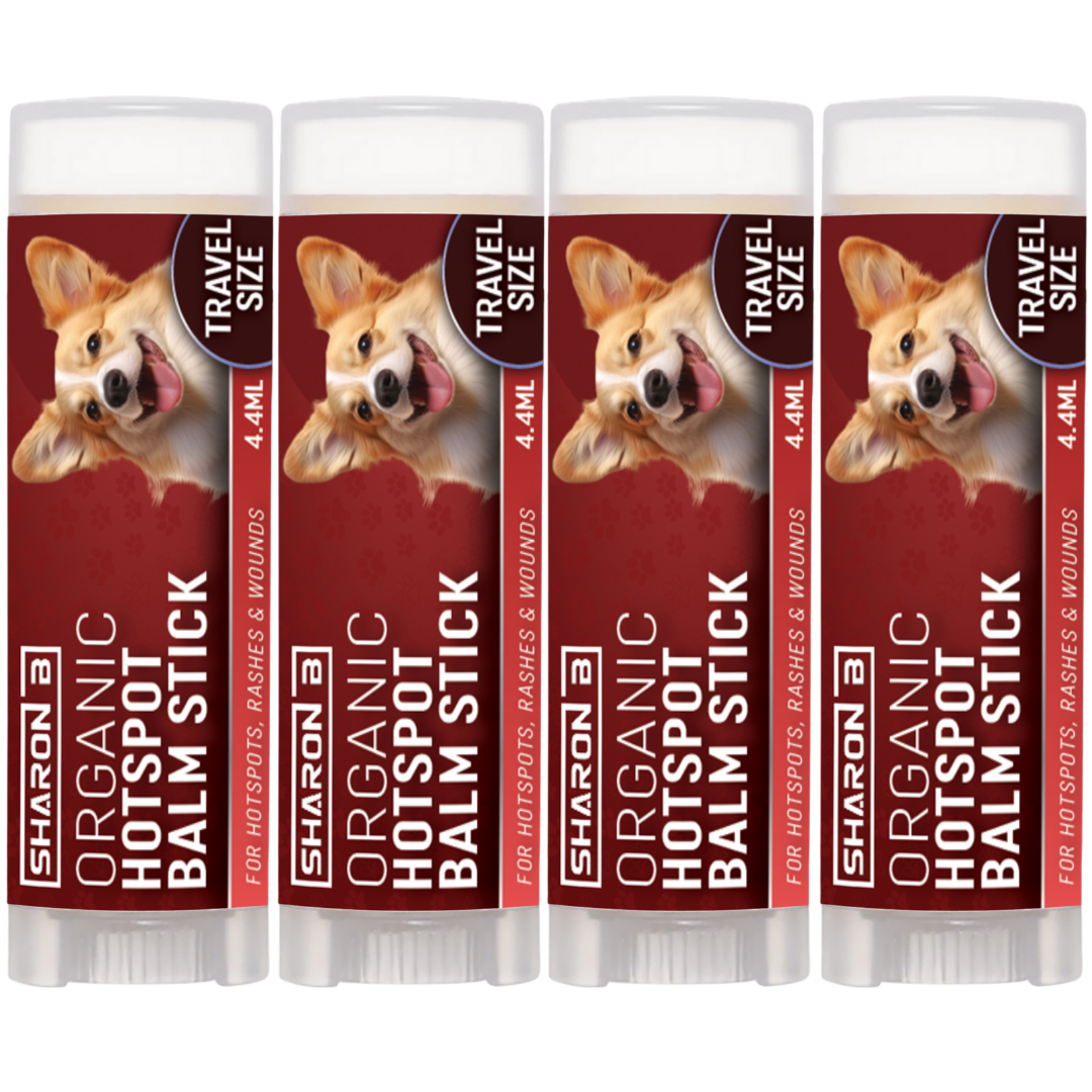 Hotspot Travel Stick set van 4