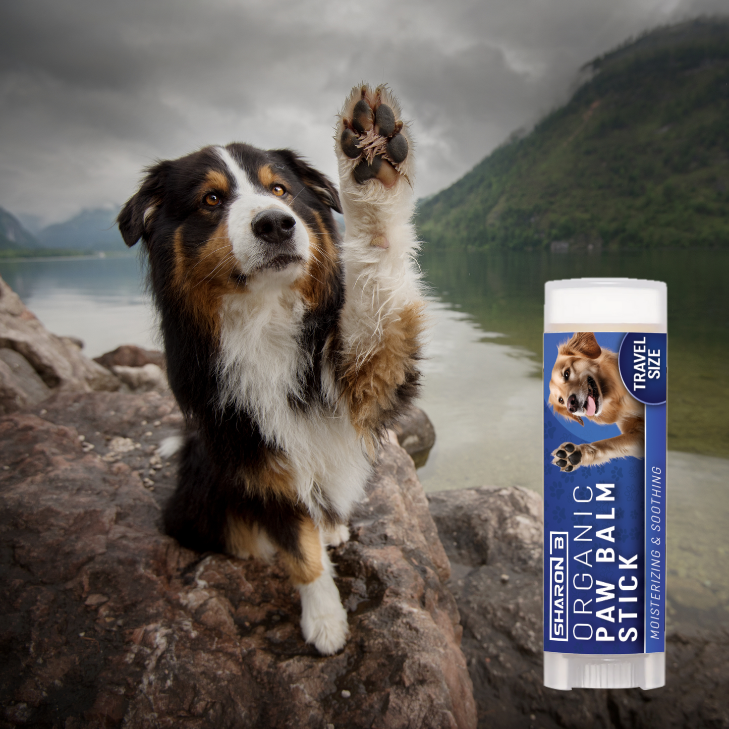 Pawbalm Stick 5ml