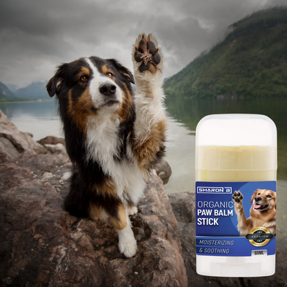 Pawbalm Stick 60ml