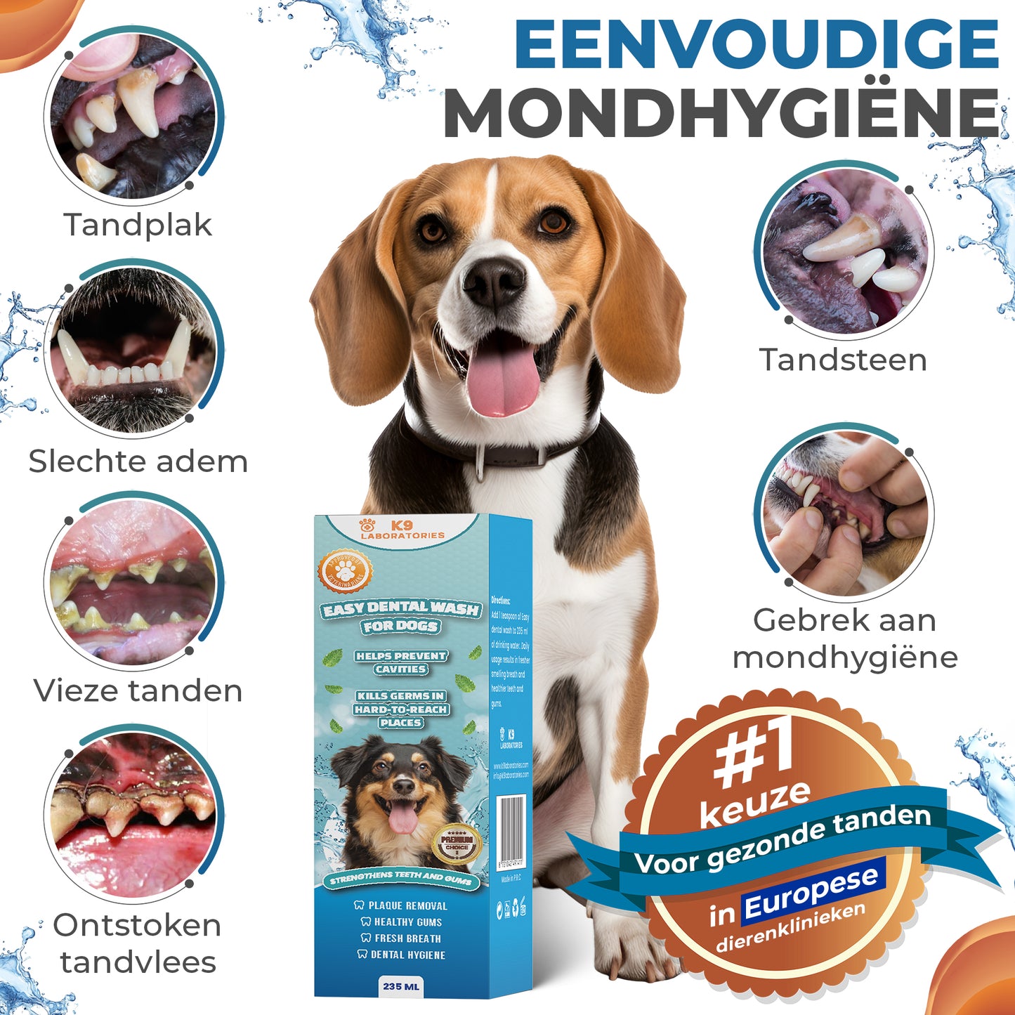 Easy Mondwater
