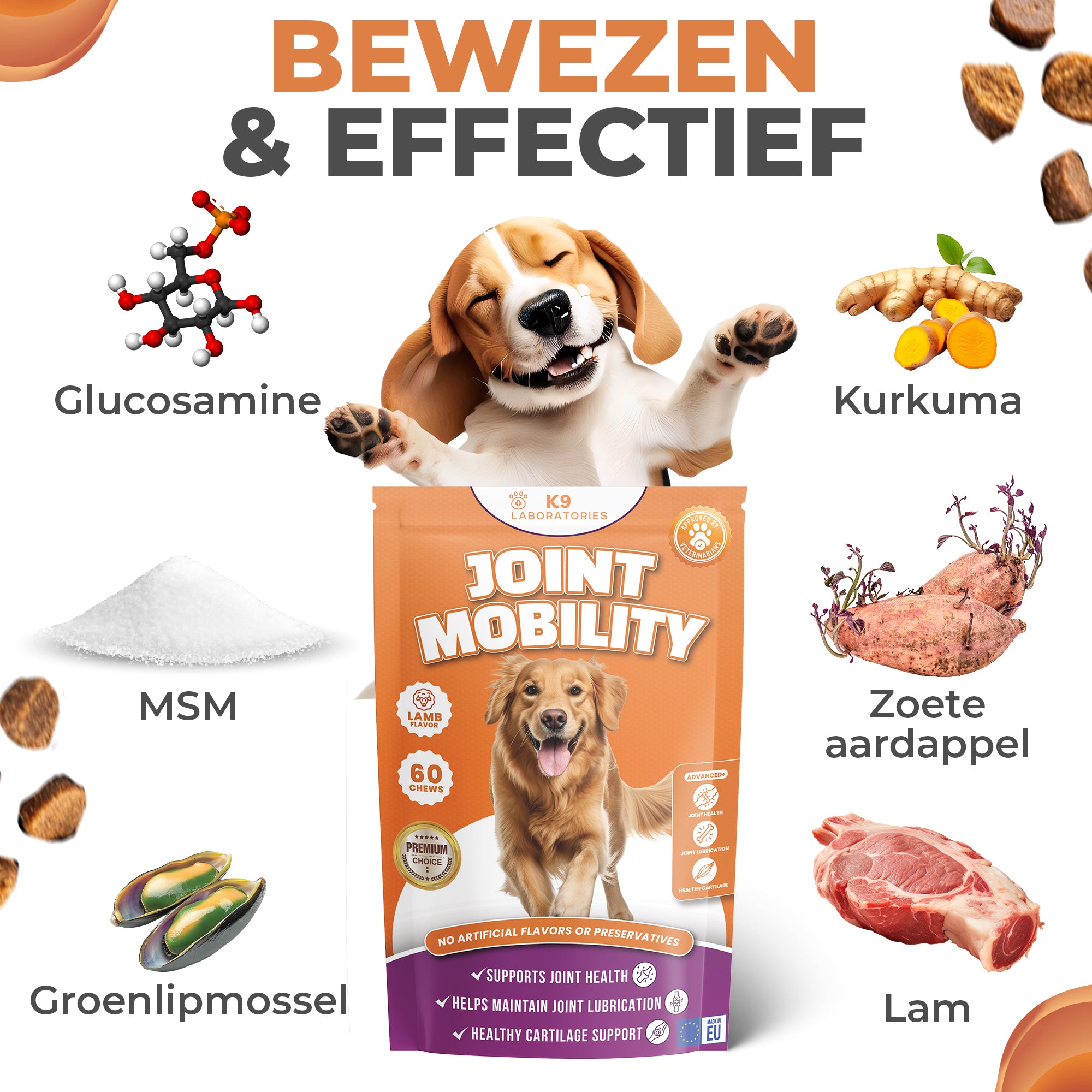 Heup & Gewricht chewies