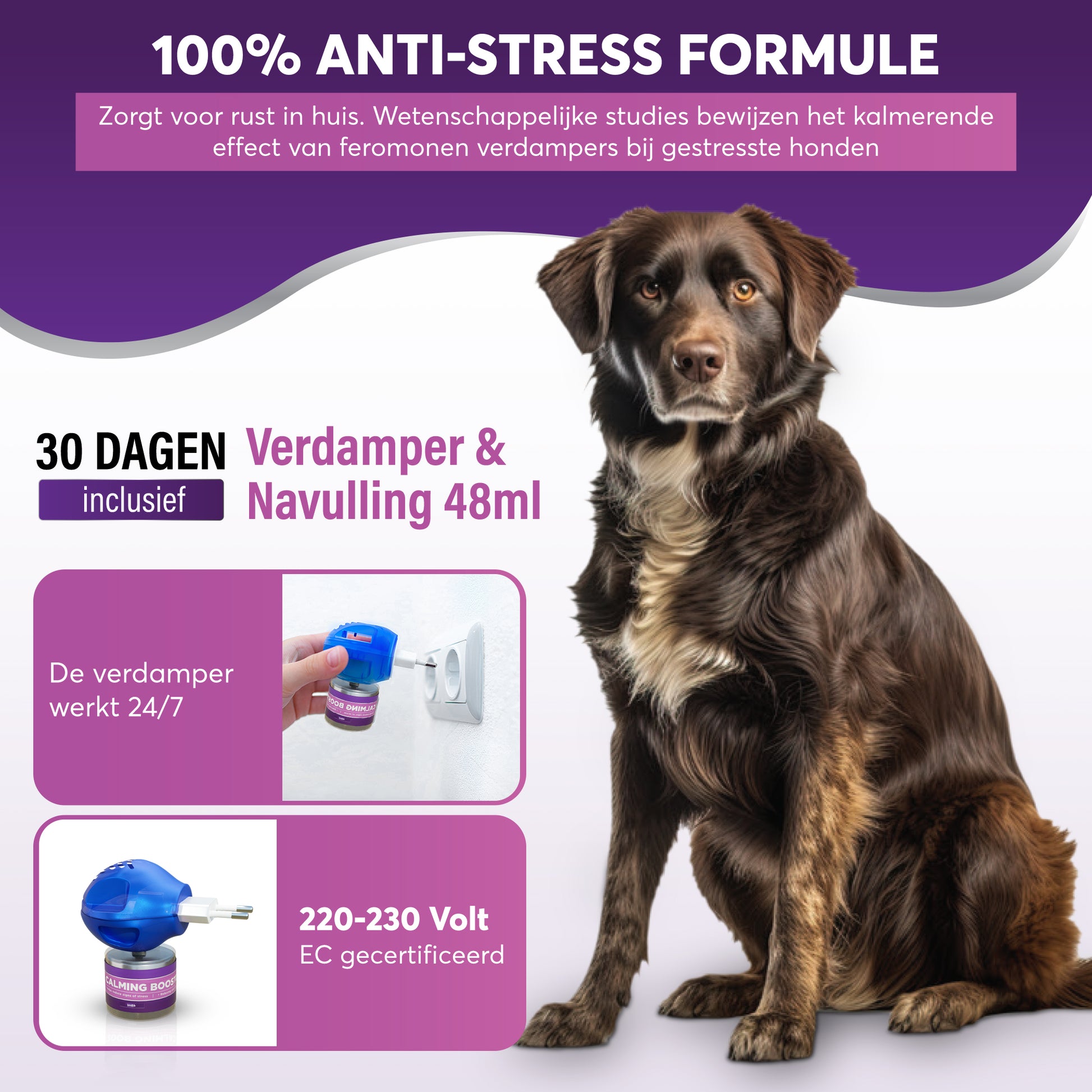 Mateju Wasbare puppypads, herbruikbare plasmat voor honden en katten, antislip, snel absorberend trainingskussen, lekvrije hondenpads, voerbakmat voor Mateju Wasbare puppypads, herbruikbare plasmat voor honden en katten, antislip, snel absorberend trainingskussen, lekvrije hondenpads, voerbakmat voor
