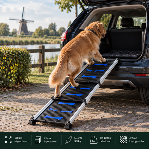 Telescopische Loopplank voor Honden