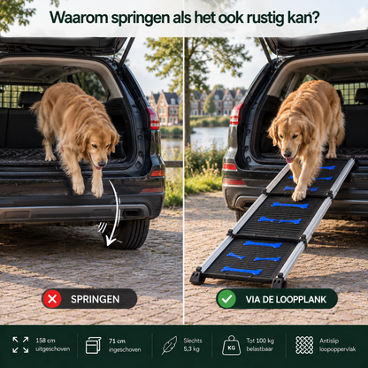 Telescopische Loopplank voor Honden