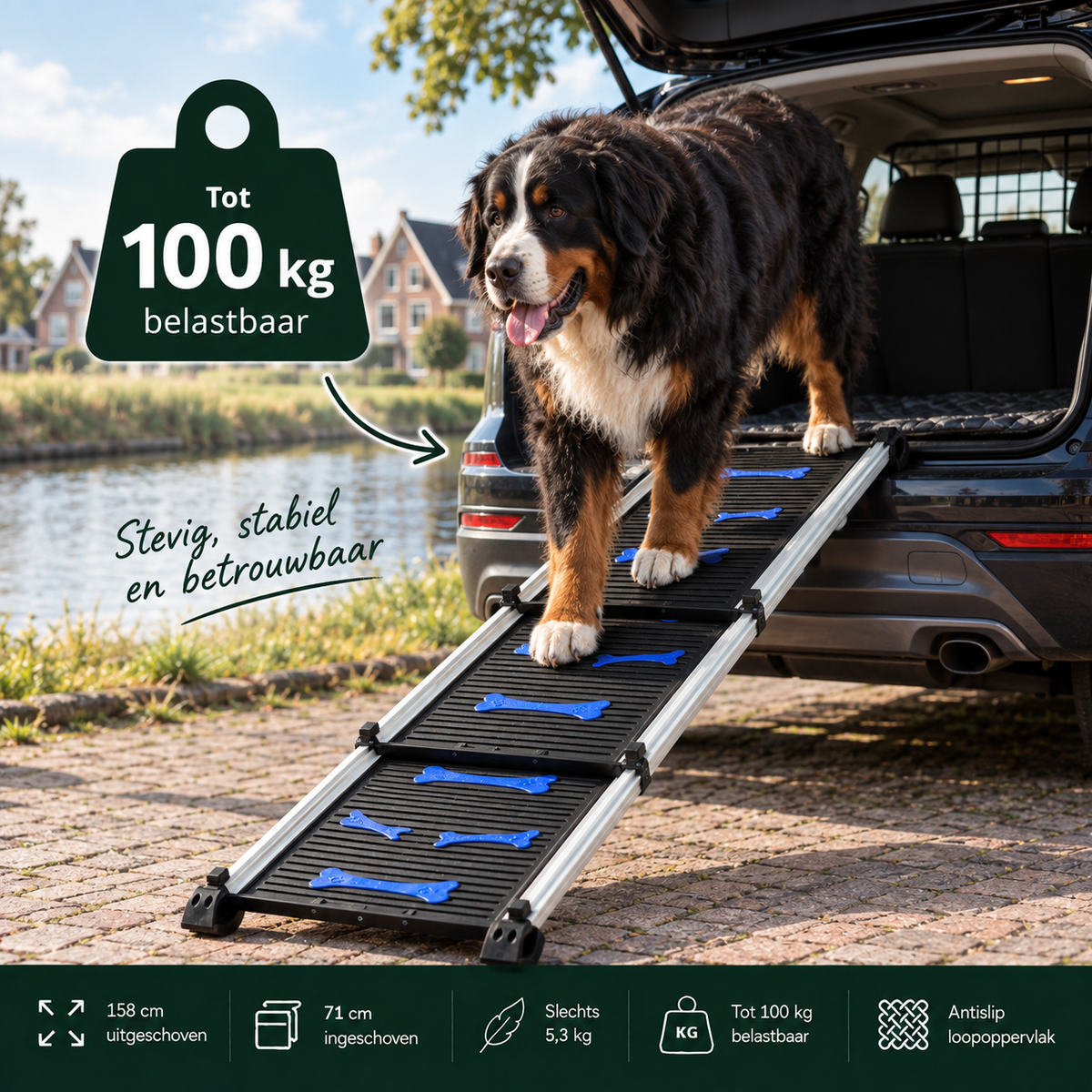 Telescopische Loopplank voor Honden