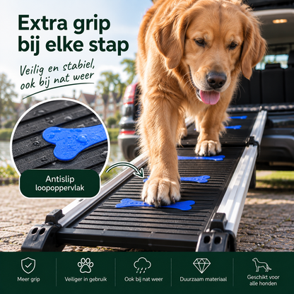 Telescopische Loopplank voor Honden