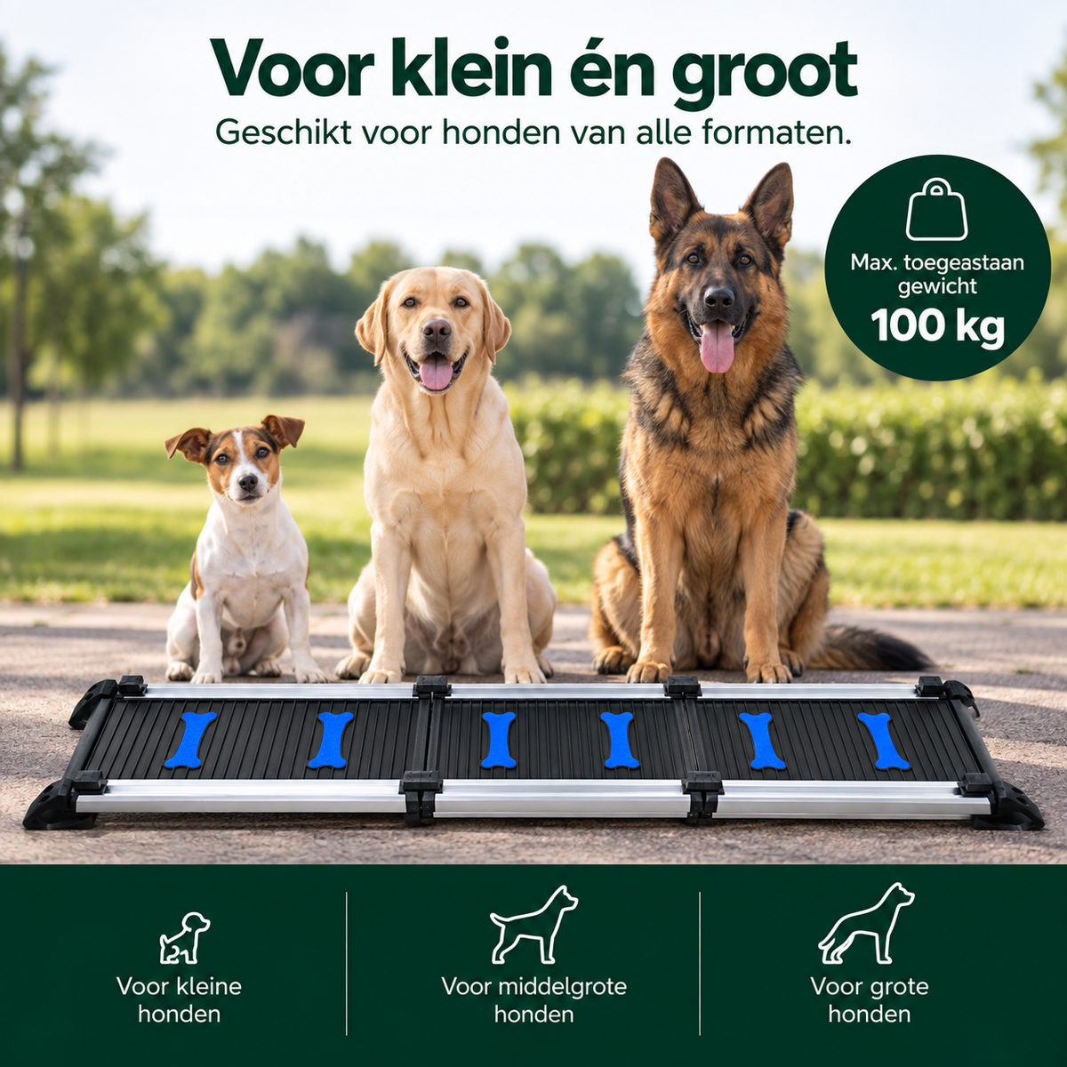 Telescopische Loopplank voor Honden