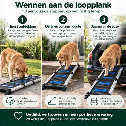 Telescopische Loopplank voor Honden