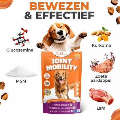 Heup & Gewricht chewies