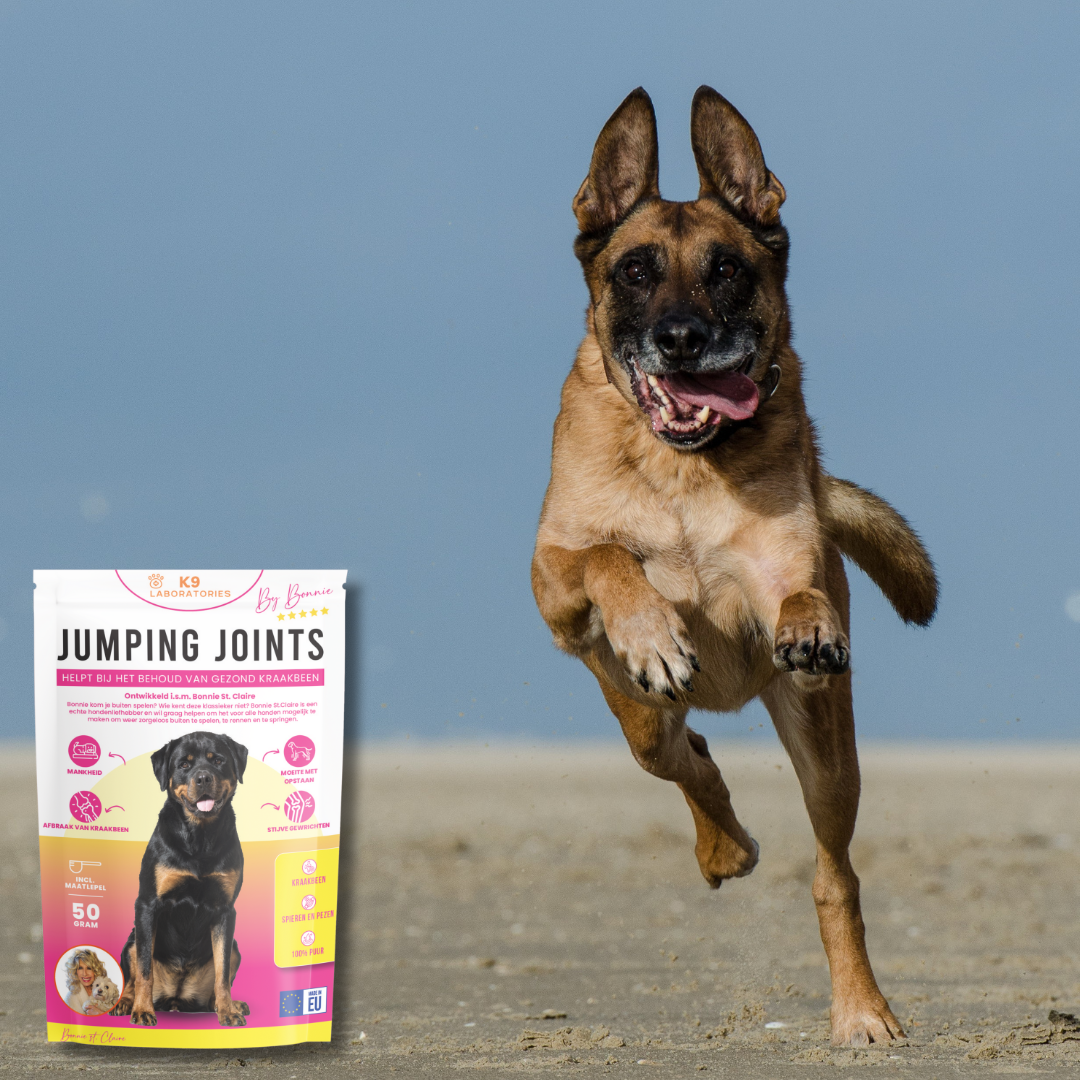 Jumping Joints by Bonnie