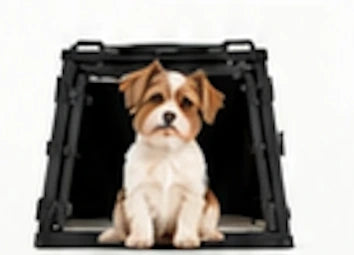 Hond in Hundos Onyx S autobench