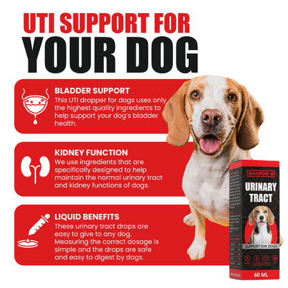 Urinary tract 60ML
