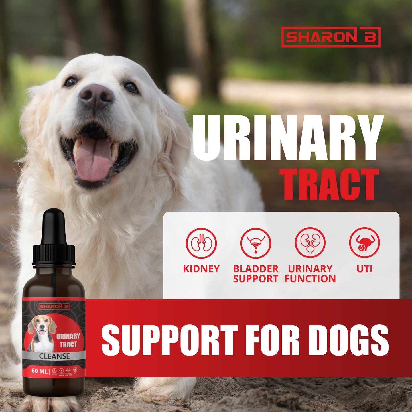 Urinary tract 60ML