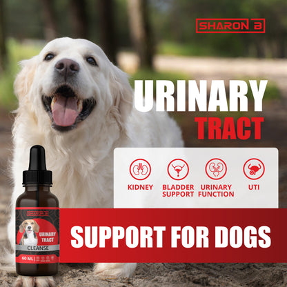 Urinary tract 60ML